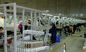 Warehouse PLC SS Vertical Conveyor Garment Hanging System