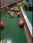 High Quality Green PVC  Conveyor Belt for fruit packing & choosing & picking up machine