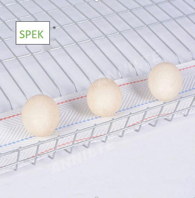 Buy anti-UV and anti-aging egg conveyor belt for poultry farm egg collection system online manufacture