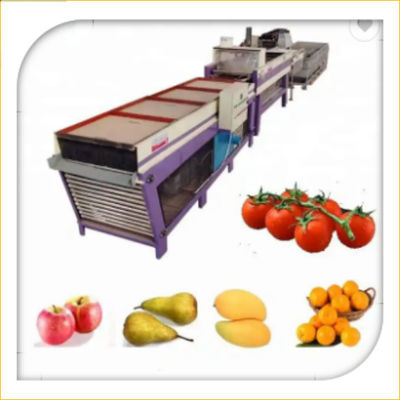 Buy Avocado Orange Fruit Washing Waxing Drying And Grading Sorting Machine online manufacture