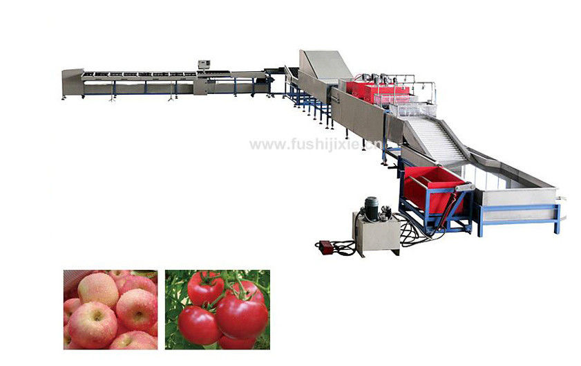 Automatic Electronic Fruit Washing And Waxing Machine 5MT/H