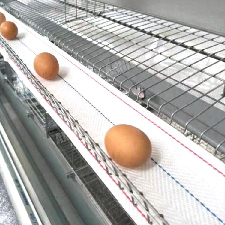 Annilte Hot sale egg collection belt in poultry farm