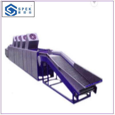 Citrus Fruit Tomato Sorter Machine  And Vegetable Washer Machine