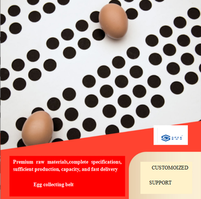 Customized white PP picking  eggs conveyor belt,  pp egg collection belt, perforated  conveyor belt 