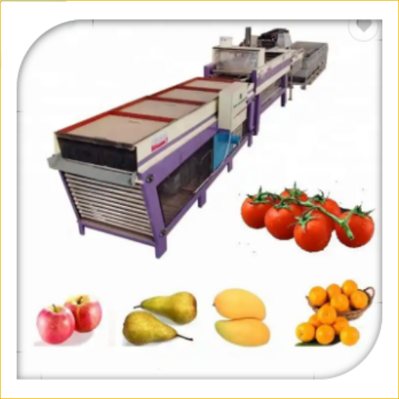Avocado Orange Fruit Washing Waxing Drying And Grading Sorting Machine