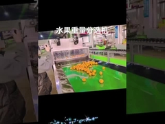 Fruit cleaning and choosing machine