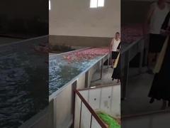 Fruit cleaning and choosing machine