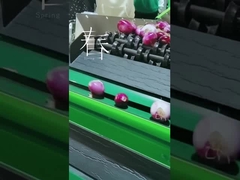 Customize Fruit Vegetable Grader