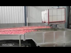 fruit washing sorting machine / weight sorting machine for Fruit
