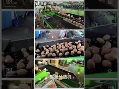 Customize Fruit Vegetable Grader