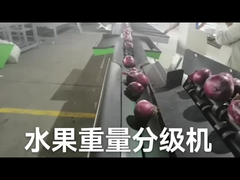 Automatic electronic fruit  sorter and weigh machine