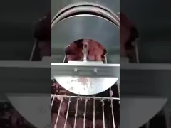 PU fish bone separation belt , bone removal separation belt,  conveyor belt