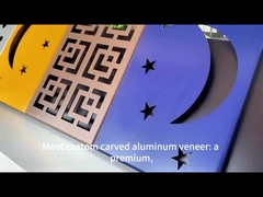 Customized Unique Carved Aluminum Veneer for Modern Architectural Projects