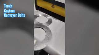 Custom Rubber Nylon Conveyor Belts Tough & Durable